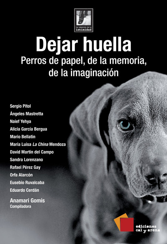 Dejar huella. Perros de papel, de la memoria, de la imaginación por Anamari Gomís