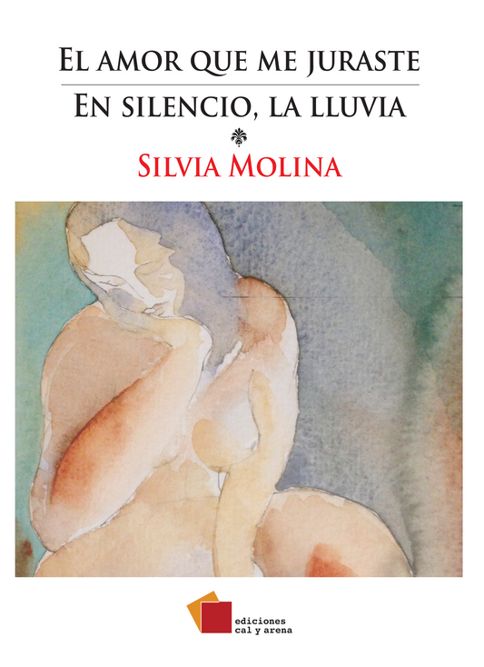 El amor que me juraste. En silencio, la lluvia por Silvia Molina